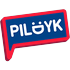 Check status of PILDYK